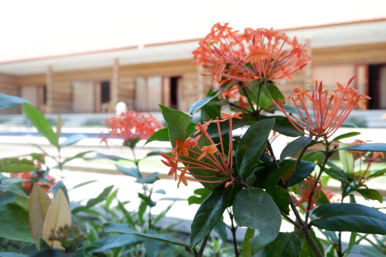 Manik Homestay Uluwatu Exteriör bild